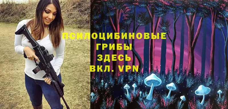 Псилоцибиновые грибы Magic Shrooms Светогорск