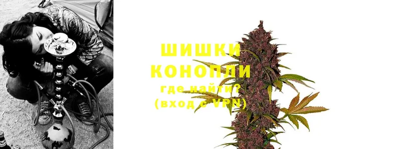 Марихуана OG Kush  Светогорск 